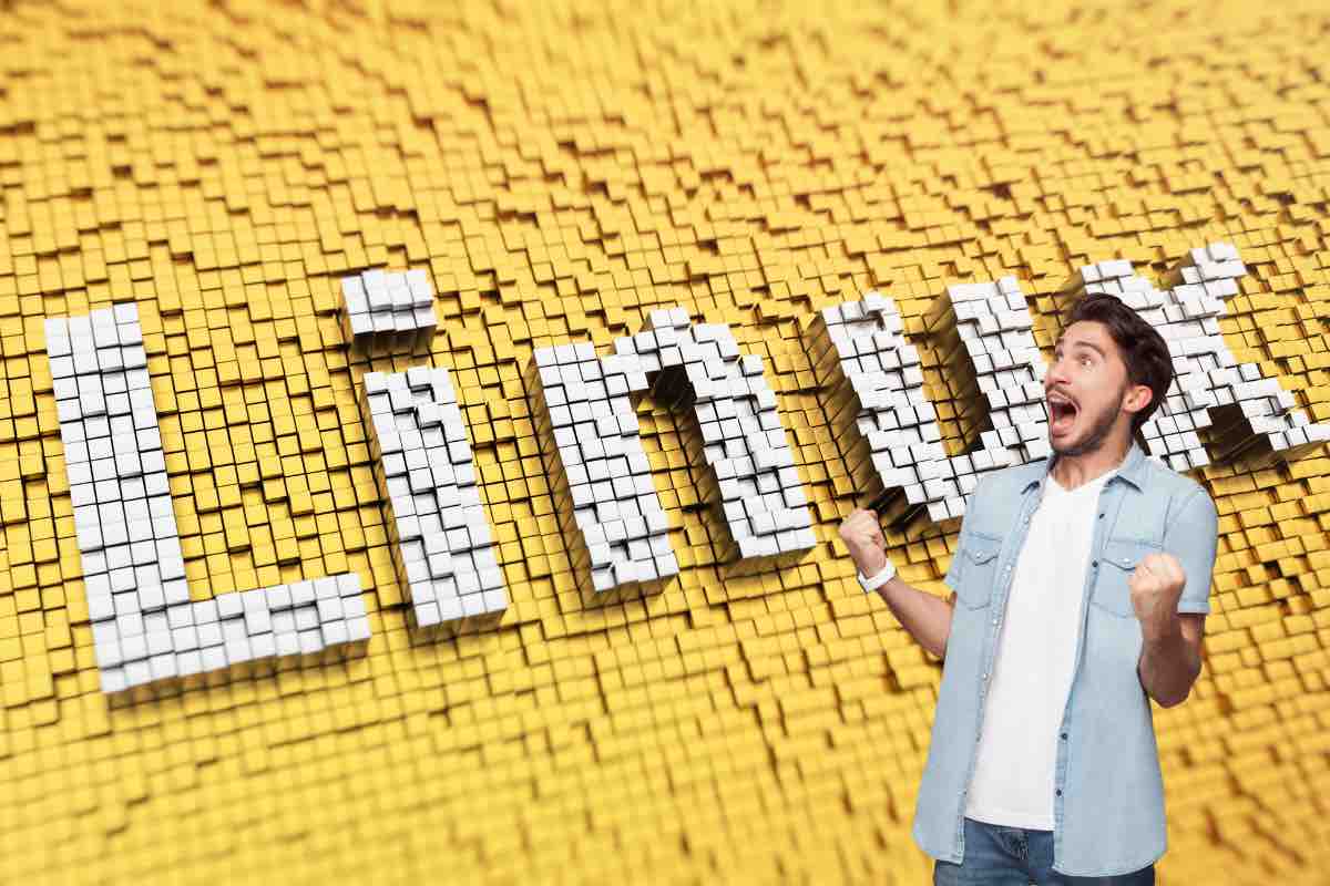 L'alternativa a Windows